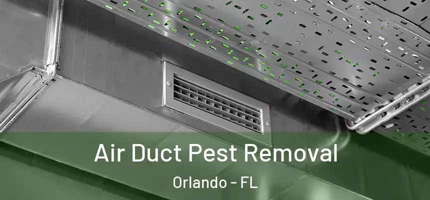 Air Duct Pest Removal Orlando - FL