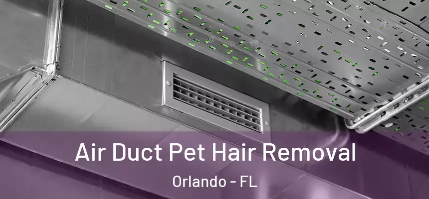 Air Duct Pet Hair Removal Orlando - FL