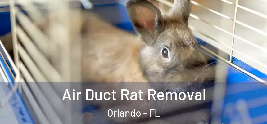 Air Duct Rat Removal Orlando - FL