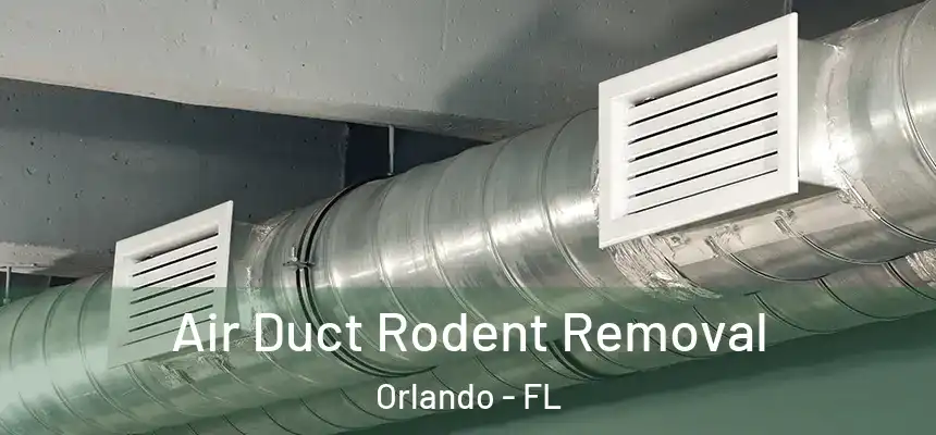 Air Duct Rodent Removal Orlando - FL