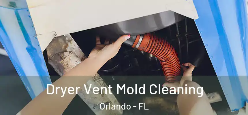 Dryer Vent Mold Cleaning Orlando - FL
