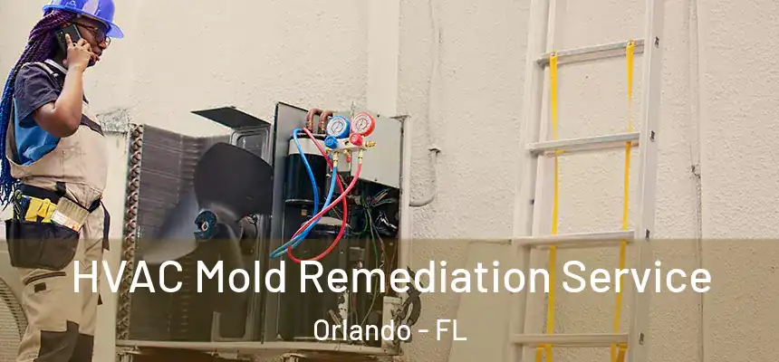 HVAC Mold Remediation Service Orlando - FL