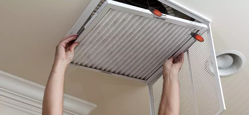 Our Insect Removal from Air Ducts Services in Orlando, FL
