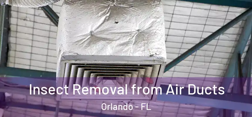 Insect Removal from Air Ducts Orlando - FL
