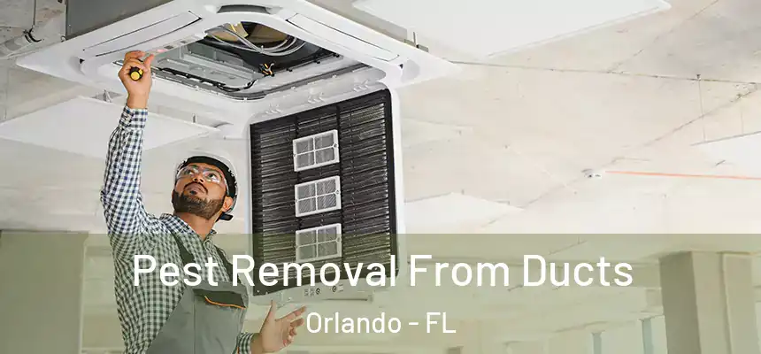 Pest Removal From Ducts Orlando - FL