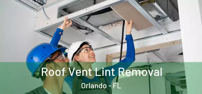 Roof Vent Lint Removal Orlando - FL