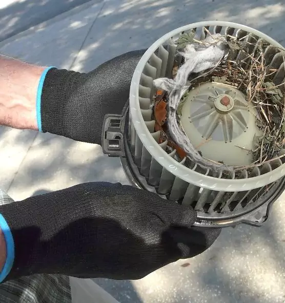 About Air Duct Rat Removal in Orlando, FL