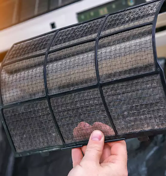 About Pet Dander Duct Cleaning in Orlando, FL